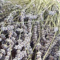 Dom za starije osobe s psihoorganskim promjenama